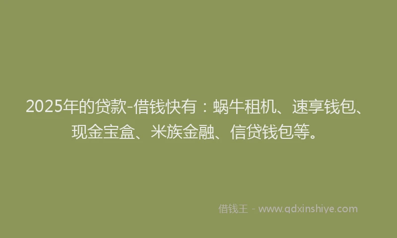 2025年的贷款-借钱快有：蜗牛租机、速享钱包、现金宝盒、米族金融、信贷钱包等。