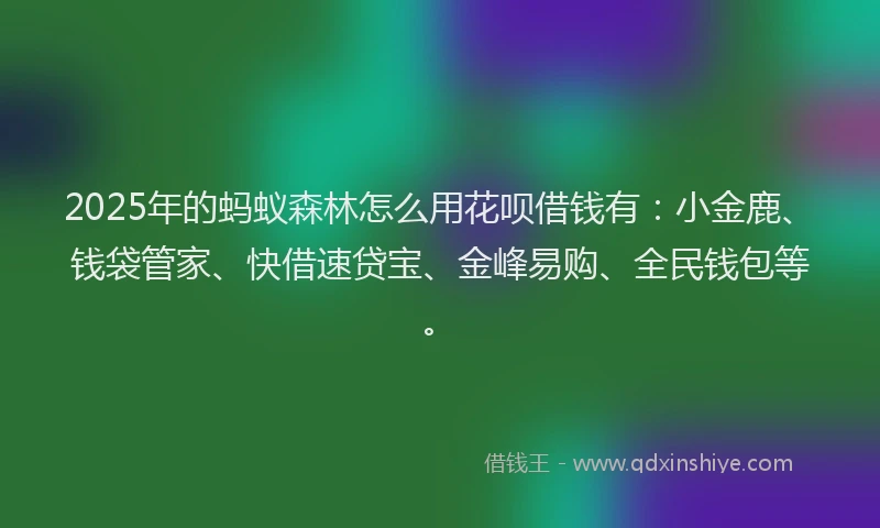 2025年的蚂蚁森林怎么用花呗借钱有:小金鹿、钱袋管家、快借速贷宝、金峰易购、全民钱包等。
