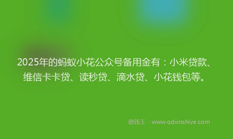 2025年的蚂蚁小花公众号备用金有：小米贷款、维信卡卡贷、读秒贷、滴水贷、小花钱包等。