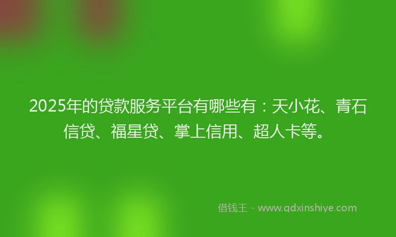 2025年的贷款服务平台有哪些有：天小花、青石信贷、福星贷、掌上信用、超人卡等。
