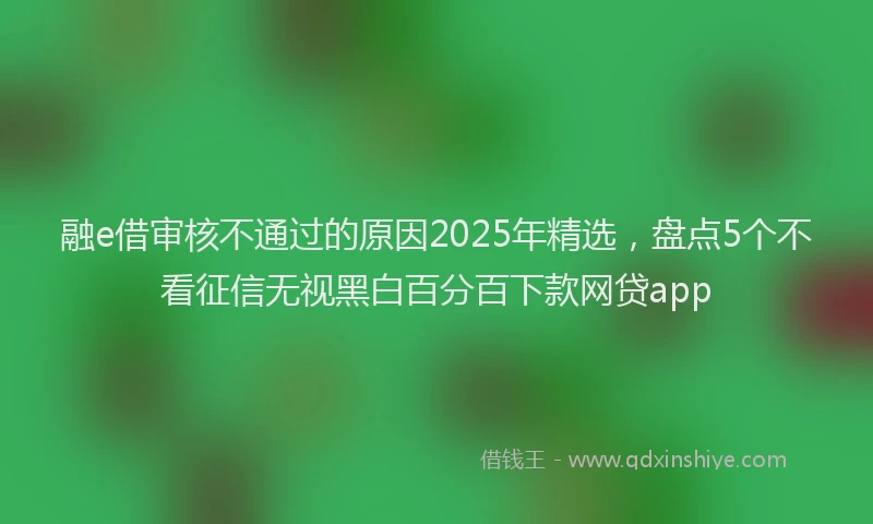 融e借审核不通过的原因2025年精选，盘点5个不看征信无视黑白百分百下款网贷app