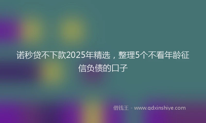诺秒贷不下款2025年精选，整理5个不看年龄征信负债的口子