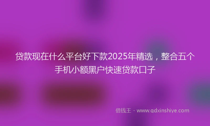 贷款现在什么平台好下款2025年精选，整合五个手机小额黑户快速贷款口子