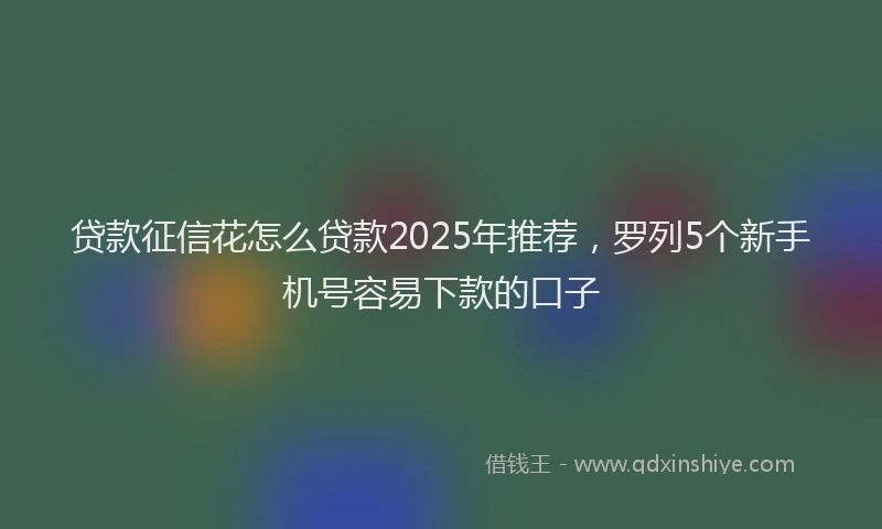贷款征信花怎么贷款2025年推荐，罗列5个新手机号容易下款的口子