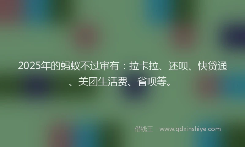 2025年的蚂蚁不过审有：拉卡拉、还呗、快贷通、美团生活费、省呗等。