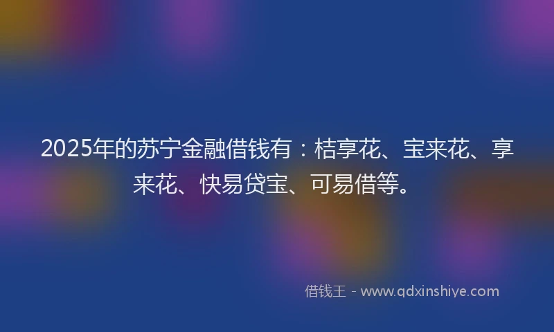 2025年的苏宁金融借钱有：桔享花、宝来花、享来花、快易贷宝、可易借等。