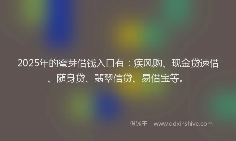 2025年的蜜芽借钱入口有：疾风购、现金贷速借、随身贷、翡翠信贷、易借宝等。