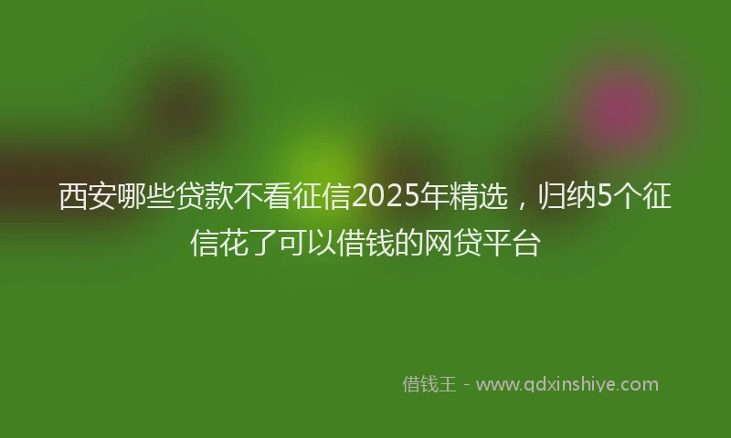 西安哪些贷款不看征信2025年精选，归纳5个征信花了可以借钱的网贷平台