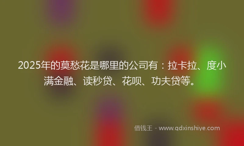 2025年的莫愁花是哪里的公司有：拉卡拉、度小满金融、读秒贷、花呗、功夫贷等。