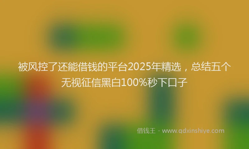 被风控了还能借钱的平台2025年精选，总结五个无视征信黑白100%秒下口子