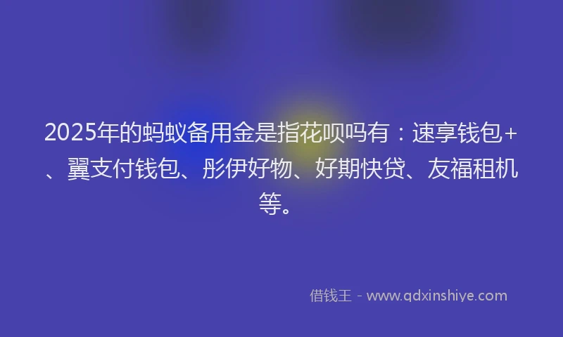 2025年的蚂蚁备用金是指花呗吗有：速享钱包+、翼支付钱包、彤伊好物、好期快贷、友福租机等。