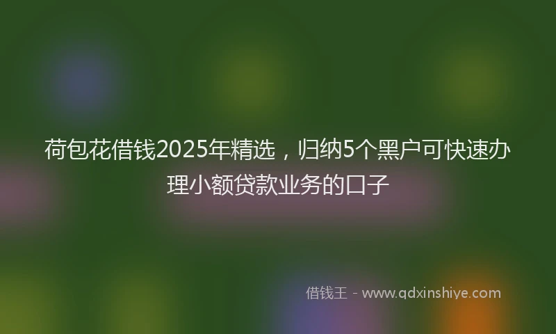 荷包花借钱2025年精选，归纳5个黑户可快速办理小额贷款业务的口子