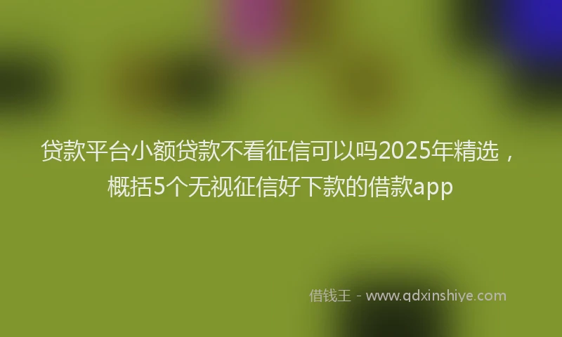 贷款平台小额贷款不看征信可以吗2025年精选，概括5个无视征信好下款的借款app
