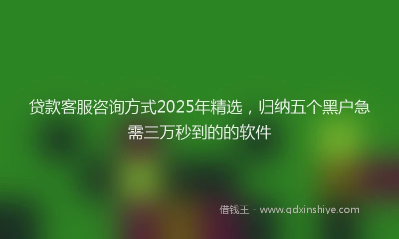 贷款客服咨询方式2025年精选，归纳五个黑户急需三万秒到的的软件