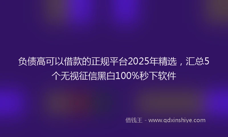 负债高可以借款的正规平台2025年精选，汇总5个无视征信黑白100%秒下软件