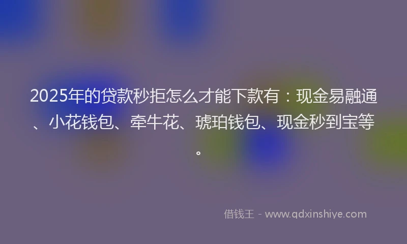 2025年的贷款秒拒怎么才能下款有：现金易融通、小花钱包、牵牛花、琥珀钱包、现金秒到宝等。