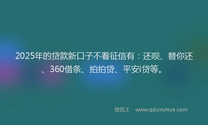 2025年的贷款新口子不看征信有：还呗、替你还、360借条、拍拍贷、平安i贷等。
