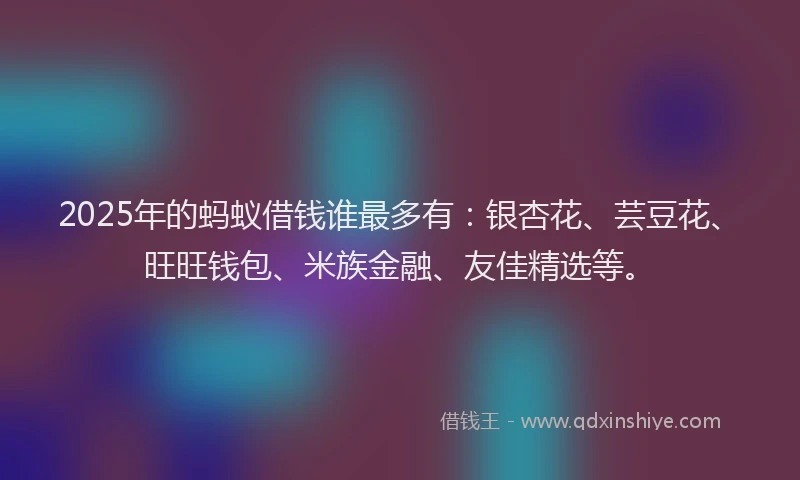 2025年的蚂蚁借钱谁最多有：银杏花、芸豆花、旺旺钱包、米族金融、友佳精选等。