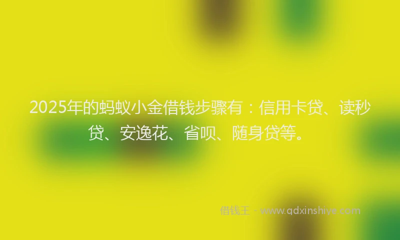 2025年的蚂蚁小金借钱步骤有：信用卡贷、读秒贷、安逸花、省呗、随身贷等。