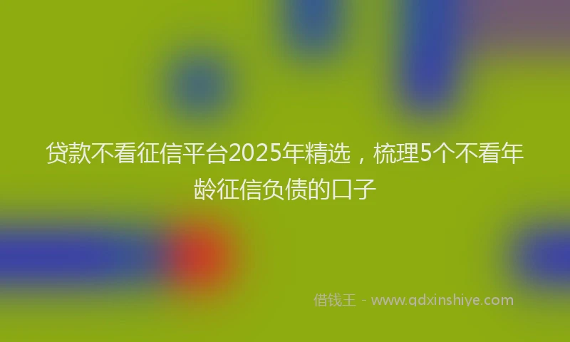 贷款不看征信平台2025年精选，梳理5个不看年龄征信负债的口子