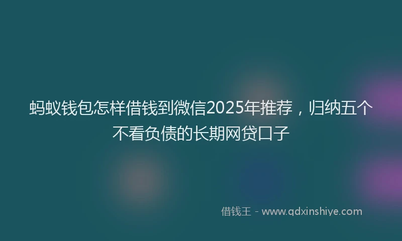 蚂蚁钱包怎样借钱到微信2025年推荐，归纳五个不看负债的长期网贷口子