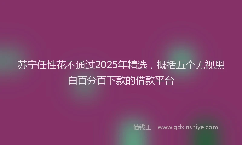 苏宁任性花不通过2025年精选，概括五个无视黑白百分百下款的借款平台