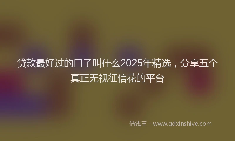 贷款最好过的口子叫什么2025年精选，分享五个真正无视征信花的平台