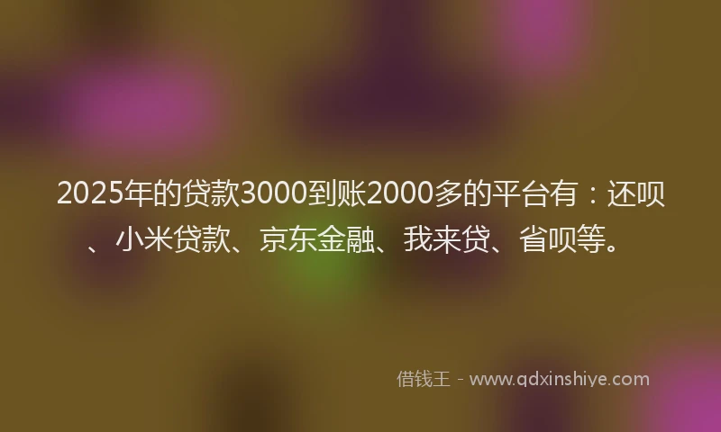 2025年的贷款3000到账2000多的平台有：还呗、小米贷款、京东金融、我来贷、省呗等。