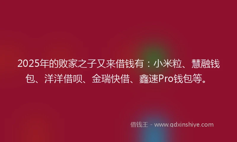 2025年的败家之子又来借钱有：小米粒、慧融钱包、洋洋借呗、金瑞快借、鑫速Pro钱包等。
