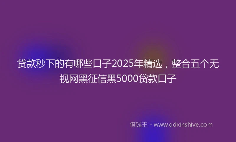 贷款秒下的有哪些口子2025年精选，整合五个无视网黑征信黑5000贷款口子