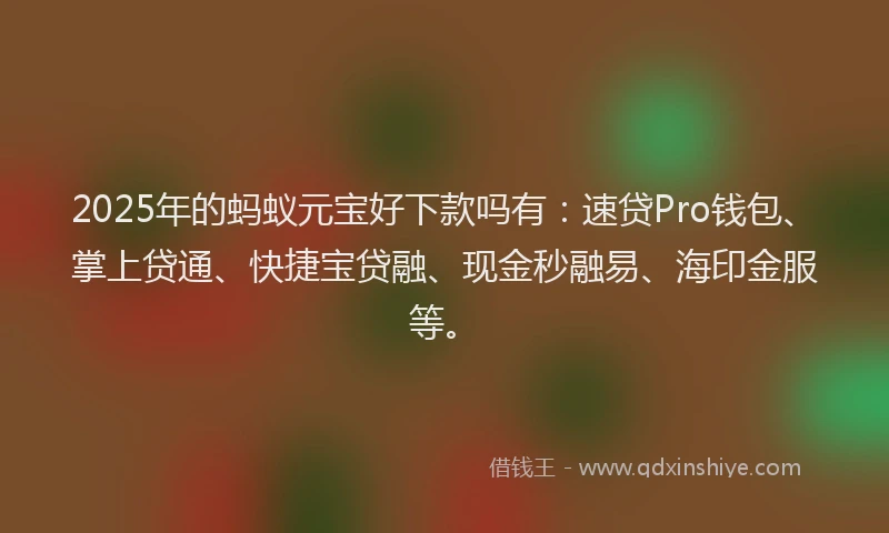 2025年的蚂蚁元宝好下款吗有：速贷Pro钱包、掌上贷通、快捷宝贷融、现金秒融易、海印金服等。