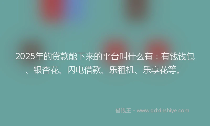 2025年的贷款能下来的平台叫什么有：有钱钱包、银杏花、闪电借款、乐租机、乐享花等。