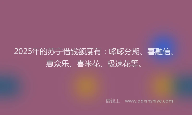 2025年的苏宁借钱额度有：哆哆分期、喜融信、惠众乐、喜米花、极速花等。