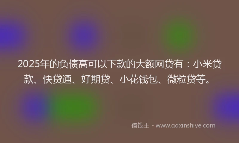 2025年的负债高可以下款的大额网贷有：小米贷款、快贷通、好期贷、小花钱包、微粒贷等。