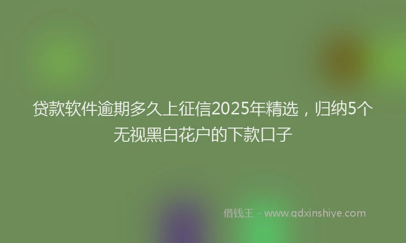 贷款软件逾期多久上征信2025年精选，归纳5个无视黑白花户的下款口子