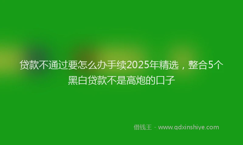 贷款不通过要怎么办手续2025年精选，整合5个黑白贷款不是高炮的口子