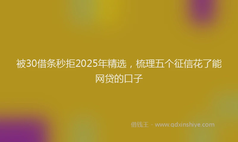 被30借条秒拒2025年精选，梳理五个征信花了能网贷的口子