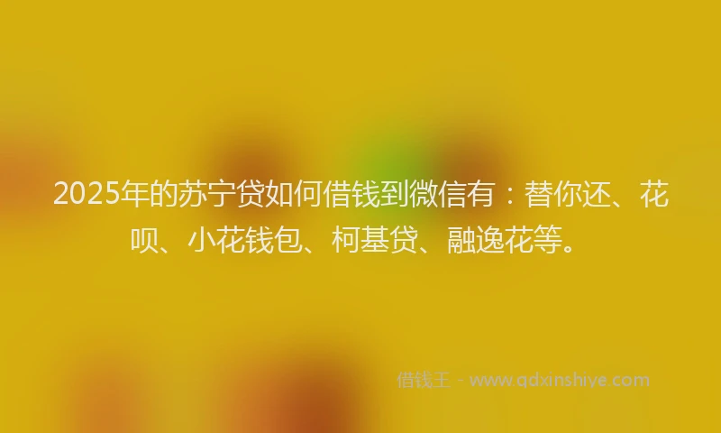 2025年的苏宁贷如何借钱到微信有：替你还、花呗、小花钱包、柯基贷、融逸花等。