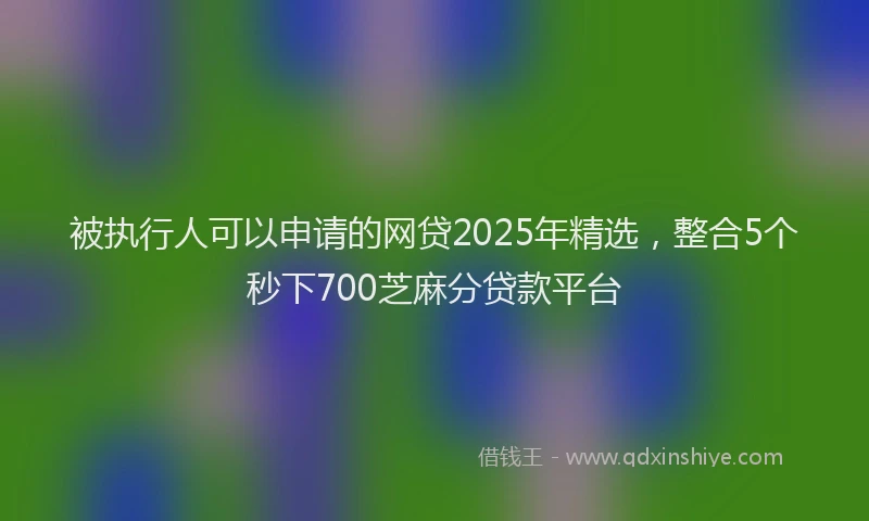 被执行人可以申请的网贷2025年精选，整合5个秒下700芝麻分贷款平台