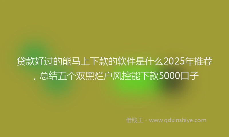 贷款好过的能马上下款的软件是什么2025年推荐，总结五个双黑烂户风控能下款5000口子