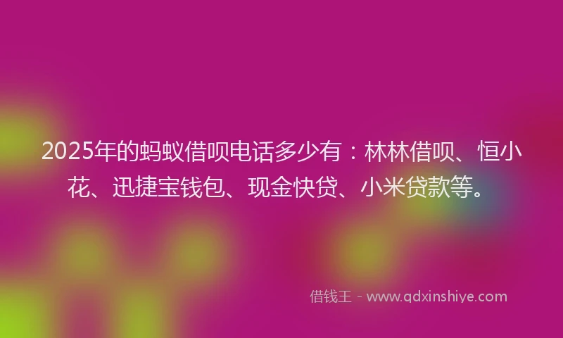 2025年的蚂蚁借呗电话多少有：林林借呗、恒小花、迅捷宝钱包、现金快贷、小米贷款等。