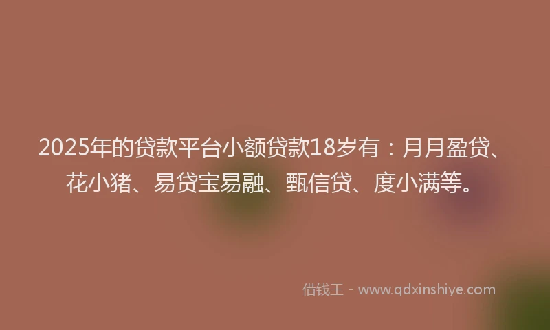 2025年的贷款平台小额贷款18岁有：月月盈贷、花小猪、易贷宝易融、甄信贷、度小满等。