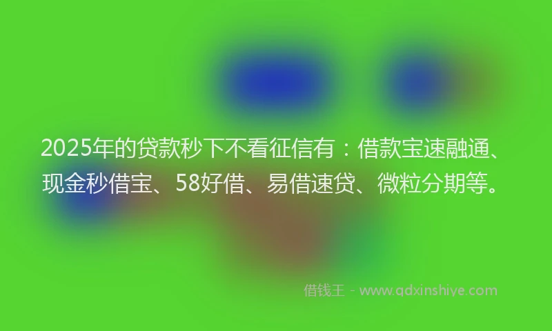 2025年的贷款秒下不看征信有：借款宝速融通、现金秒借宝、58好借、易借速贷、微粒分期等。