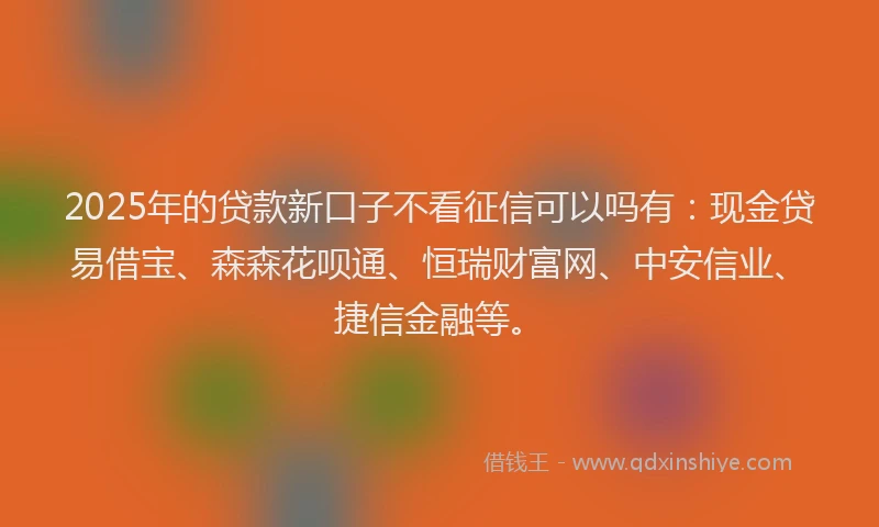 2025年的贷款新口子不看征信可以吗有：现金贷易借宝、森森花呗通、恒瑞财富网、中安信业、捷信金融等。