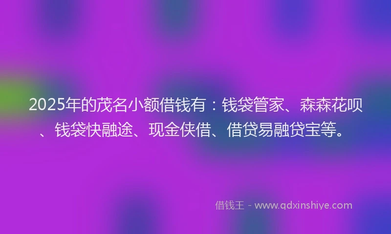 2025年的茂名小额借钱有：钱袋管家、森森花呗、钱袋快融途、现金侠借、借贷易融贷宝等。