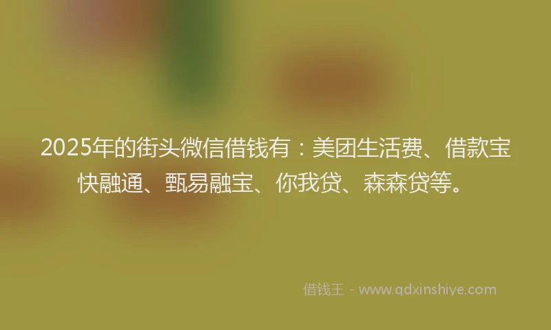 2025年的街头微信借钱有：美团生活费、借款宝快融通、甄易融宝、你我贷、森森贷等。