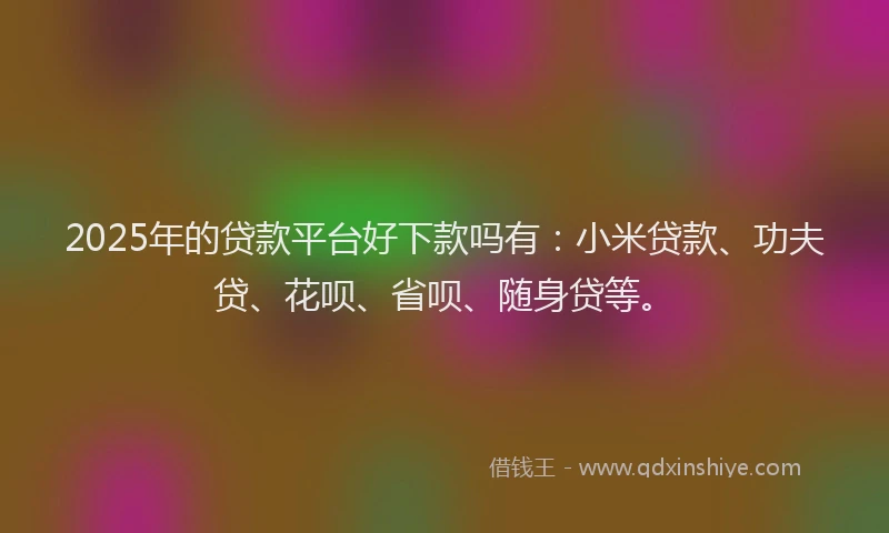 2025年的贷款平台好下款吗有：小米贷款、功夫贷、花呗、省呗、随身贷等。