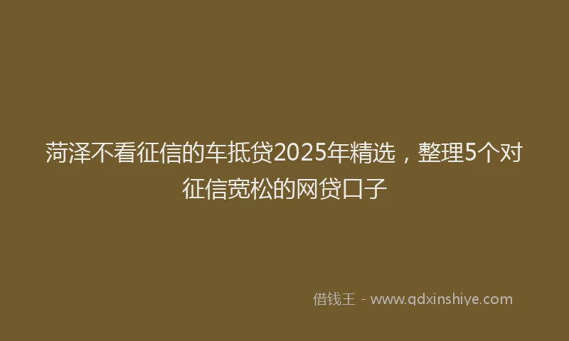 菏泽不看征信的车抵贷2025年精选，整理5个对征信宽松的网贷口子