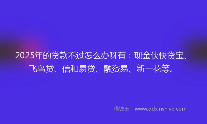 2025年的贷款不过怎么办呀有：现金侠快贷宝、飞鸟贷、信和易贷、融资易、新一花等。