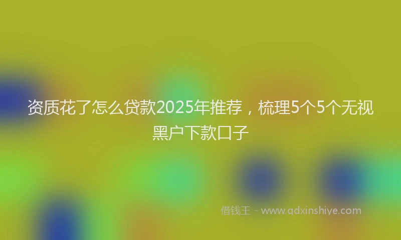 资质花了怎么贷款2025年推荐，梳理5个5个无视黑户下款口子